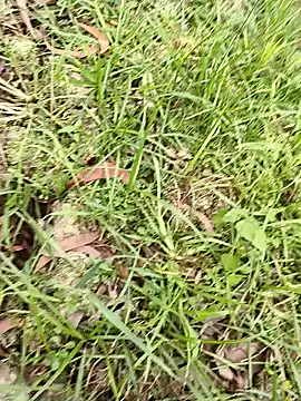 hotboy43339 online show from March 2026 11:45:01 AM