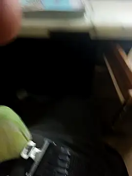 hotboy43339 online show from February 2026 05:05:02 AM