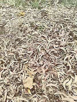 hotboy43339 online show from April 2026 05:54:02 AM