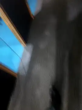 hotboy43339 online show from March 2026 03:06:02 AM