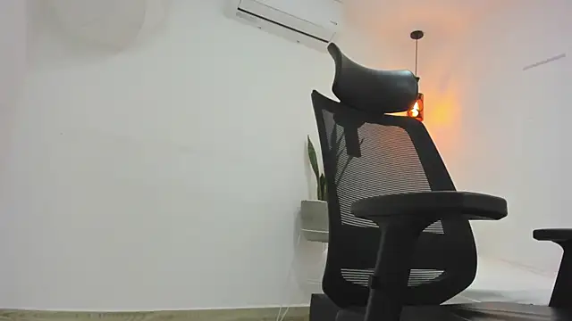 damian bull online show from November 2025 08:36:01 PM