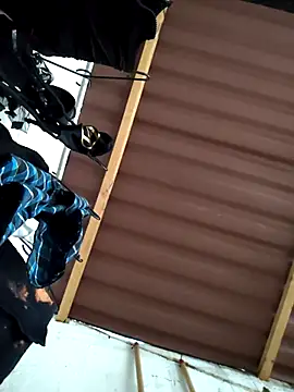 damian bull online show from November 2025 09:15:02 PM