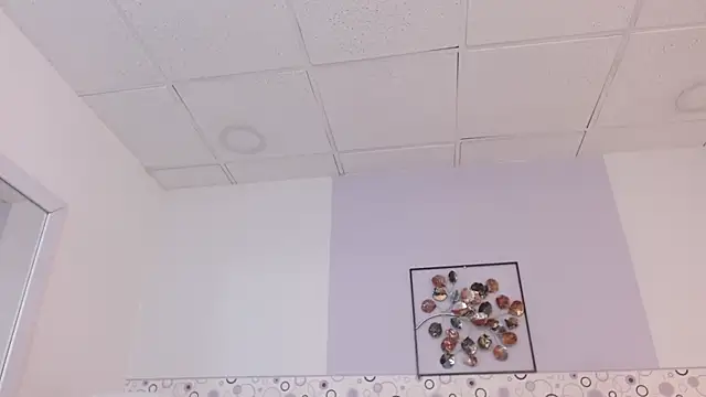 Celesstegh online show from April 2026 11:22:02 AM