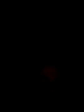 Fran-solo online show from May 2026 02:17:02 PM