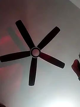 MoonlikePolicy727 online show from February 2026 05:14:02 PM