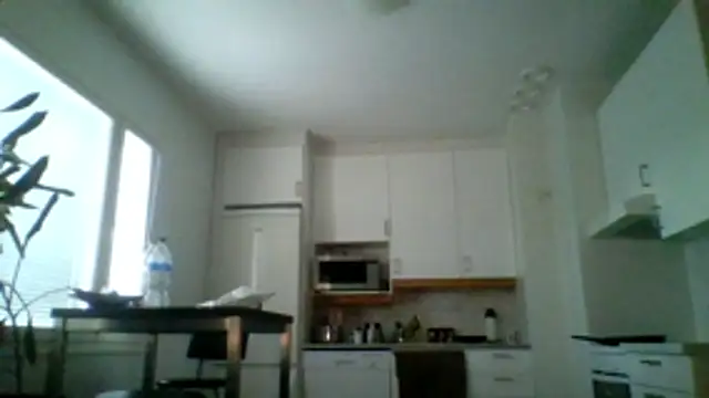 Silverhippo online show from May 2026 06:16:01 PM