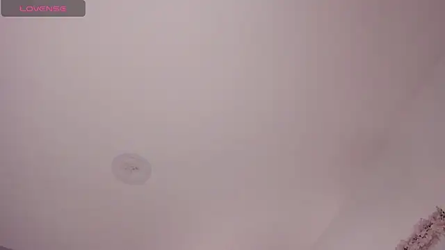 Laureen se online show from February 2026 02:53:01 AM