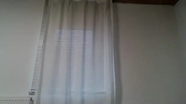 XLBarehengst online show from October 2025 06:04:02 AM