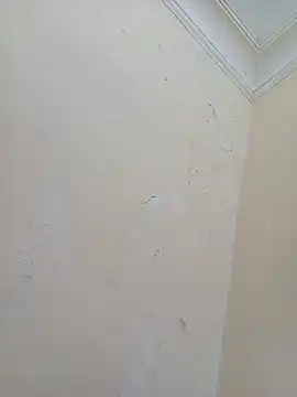 Sondosa3 online show from October 2025 08:43:01 PM