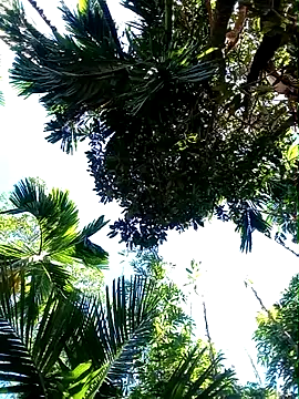 Snapshot of Johlrd chatting on November 2025 05:18:02 AM Johlrd online show from November 2025 05:18:02 AM