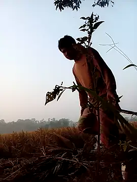 Snapshot of Johlrd chatting on November 2025 12:53:01 AM Johlrd online show from November 2025 12:53:01 AM