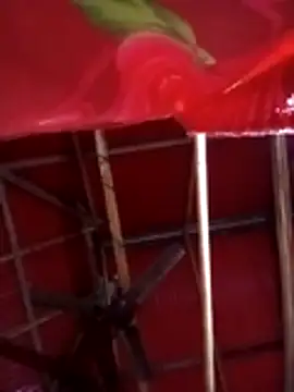 Snapshot of Johlrd chatting on November 2025 11:19:02 PM Johlrd online show from November 2025 11:19:02 PM