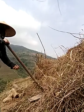 onao7 online show from April 2026 03:09:01 AM