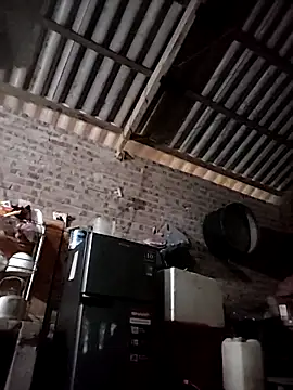 onao7 online show from March 2026 11:39:02 PM