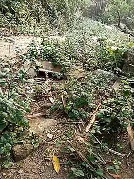 MuiNay online show from April 2026 09:45:02 AM