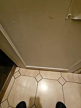 Stingles online show from October 2025 03:41:02 AM