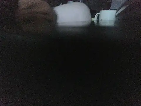 Snapshot of Thrust_71 chatting on January 2026 04:34:02 PM Thrust 71 online show from January 2026 04:34:02 PM
