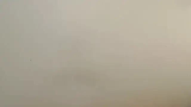 Blackberry96  online show from November 2025 09:24:02 AM