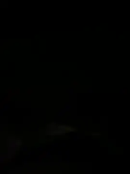 Dora  baby online show from November 2025 12:05:02 PM