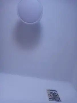 gigolobcn online show from March 2026 06:34:01 PM