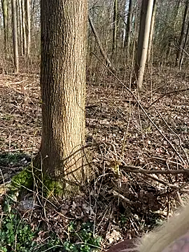 CoraDiamond online show from March 2026 02:09:01 PM