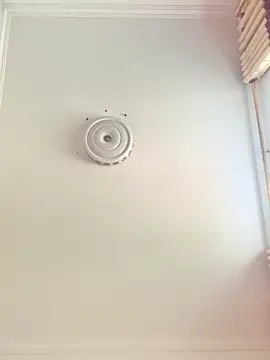 sisi-maiden online show from February 2026 07:19:02 AM