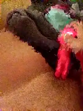 zeousseelphie online show from October 2025 08:54:02 PM