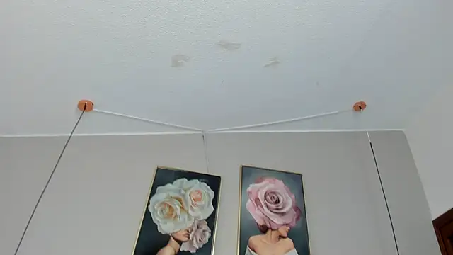 Snapshot of Dani_rosse_ chatting on May 2026 12:52:01 PM Dani rosse online show from May 2026 12:52:01 PM