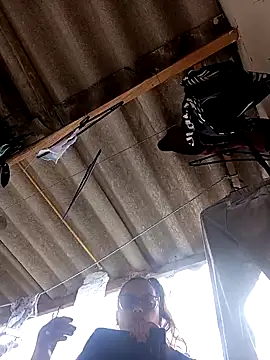 Lady 16 online show from November 2025 04:54:01 PM