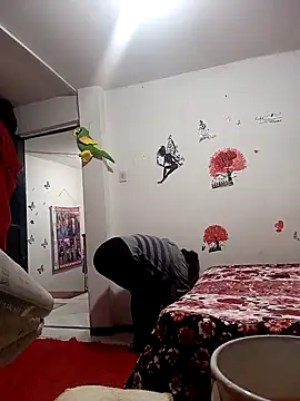 Lady 16 online show from December 2025 02:01:01 AM