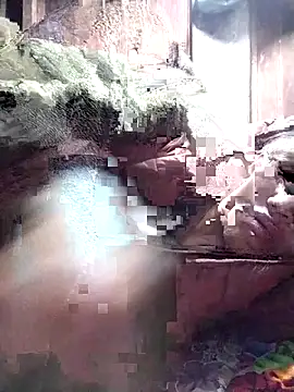 PhamPm70 online show from November 2025 10:41:02 PM