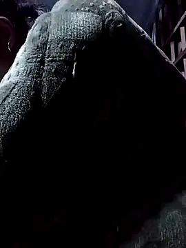 PhamPm70 online show from November 2025 11:58:01 AM