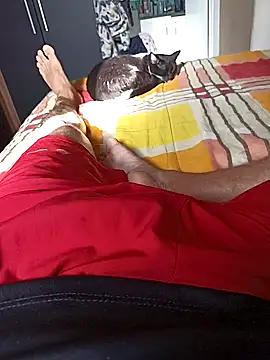 comobucetinhas online show from November 2025 07:28:01 PM