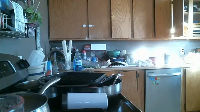 LostInEjaculation online show from February 2026 04:14:01 PM