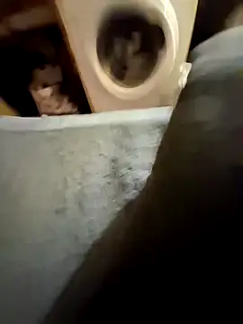 lapousse3 online show from September 2025 11:38:02 AM