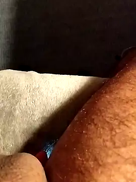 pegaso369 online show from March 2026 12:04:01 AM