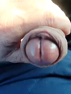 pegaso369 online show from November 2025 12:26:01 PM