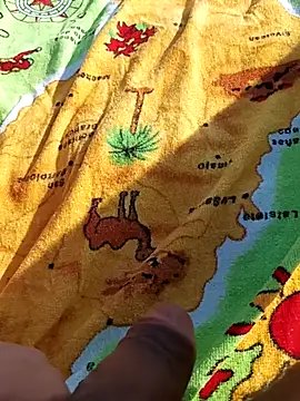 pegaso369 online show from November 2025 11:25:01 AM