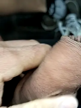 pegaso369 online show from March 2026 09:44:01 AM