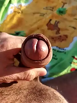 pegaso369 online show from November 2025 02:53:02 PM