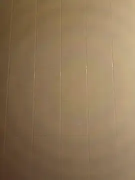 Snapshot of pegaso369 chatting on December 2025 06:56:01 PM pegaso369 online show from December 2025 06:56:01 PM