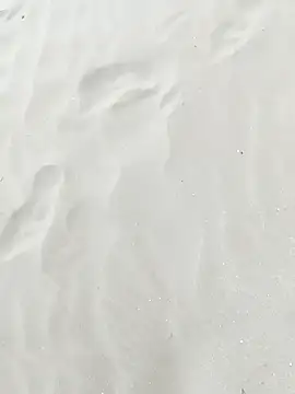 pegaso369 online show from September 2025 01:17:02 PM