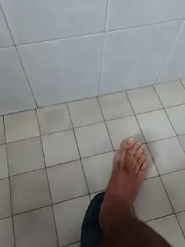 pegaso369 online show from November 2025 07:09:01 AM