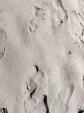 pegaso369 online show from March 2026 11:11:02 AM