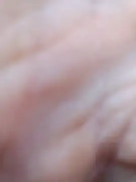 pegaso369 online show from March 2026 11:16:02 AM