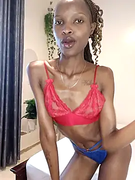 Snapshot of Nedambale chatting on February 2026 11:43:02 AM Nedambale online show from February 2026 11:43:02 AM