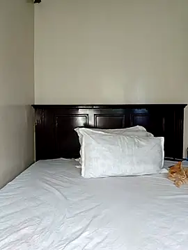 Snapshot of Nedambale chatting on February 2026 12:38:02 PM Nedambale online show from February 2026 12:38:02 PM