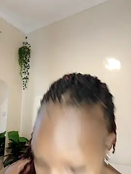 Snapshot of Nedambale chatting on February 2026 10:16:01 AM Nedambale online show from February 2026 10:16:01 AM