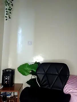 Snapshot of Nedambale chatting on April 2026 04:41:01 AM Nedambale online show from April 2026 04:41:01 AM