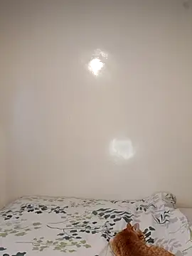 Snapshot of Nedambale chatting on February 2026 10:53:02 AM Nedambale online show from February 2026 10:53:02 AM